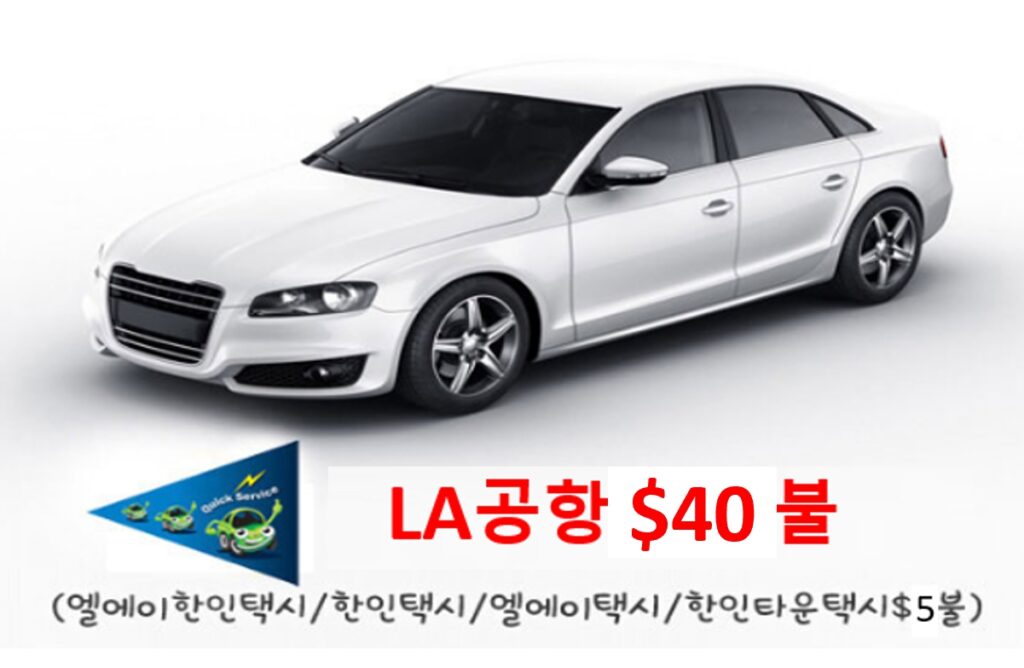 LA 공항택시